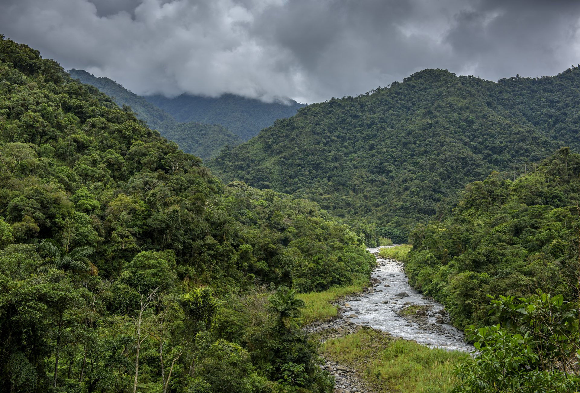 Ecuador: Andes, Cloud Forest and Amazonia